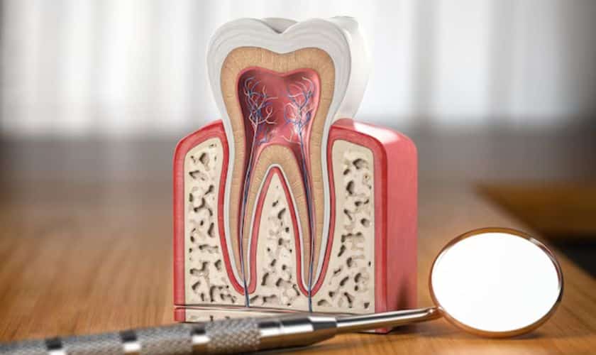 Root Canals in Southside Richmond, VA